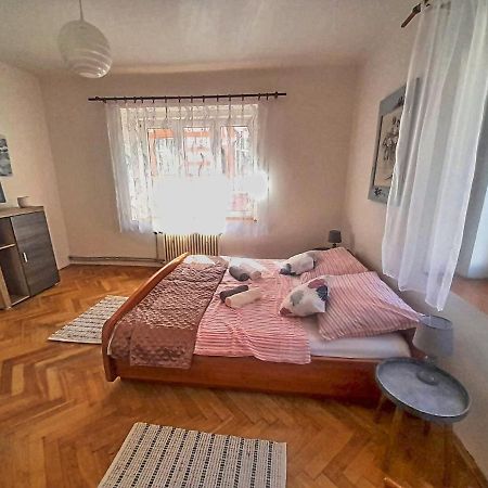 Apartman Isabel Decin Bagian luar foto